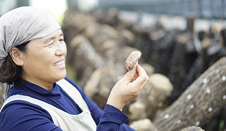 김난희의 표고버섯